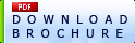 Download PDF
