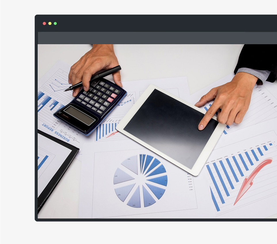 Balance Sheet & Cash Flow Reports